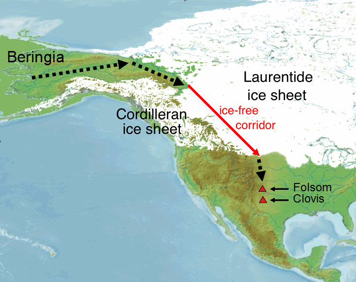 #8 - There Were Migration Highways We Never Even Knew Existed