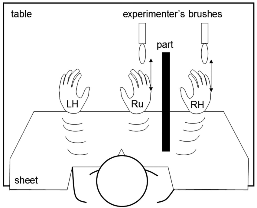 The 1998 experiment that started it all