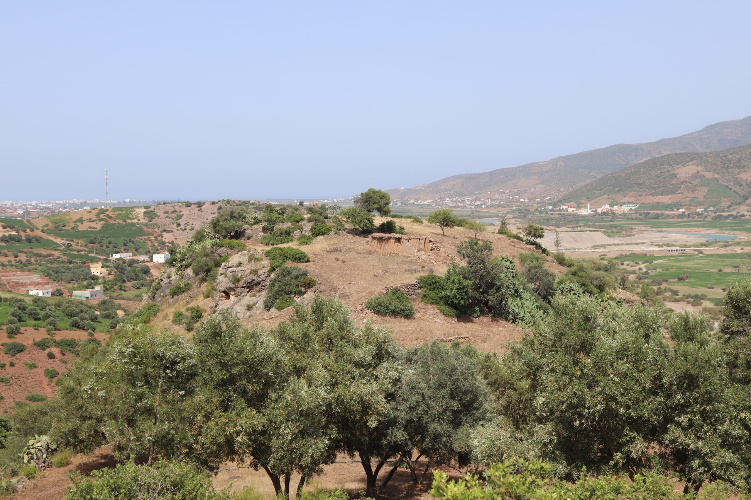 #20 - A Forgotten Farming Village Just Rewrote North African History