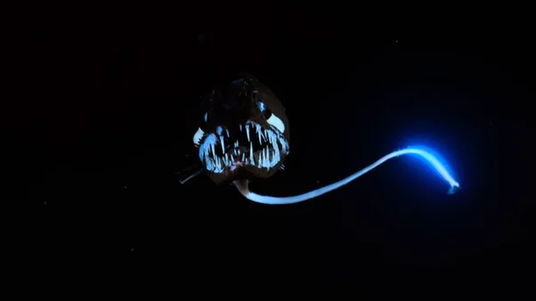 3. Sudden Blue “Bombs” from Deep-Sea Dragonfish and Other Predators 