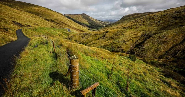 9. Celtic’s Gravity Hill near Blackhill, Ireland