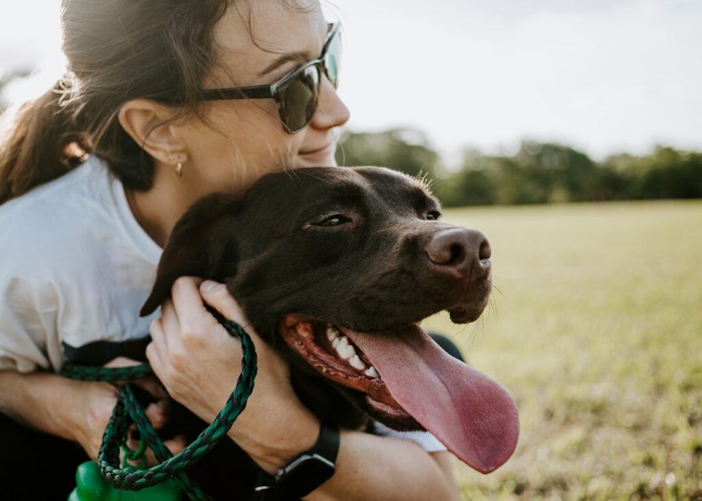 10 Ways to Increase Your Dog’s Wellbeing