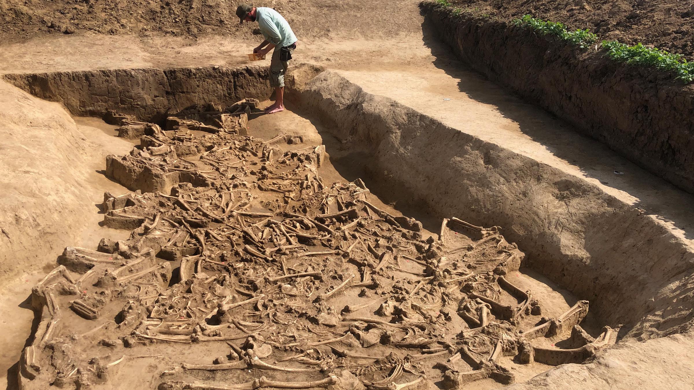 #5 - The Neolithic Pits That Preserved a Multi-Day Funeral 