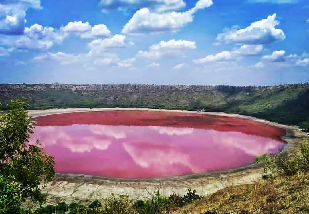Lonar Lake, India: An Alkaline Crater That Blushed Pink Overnight