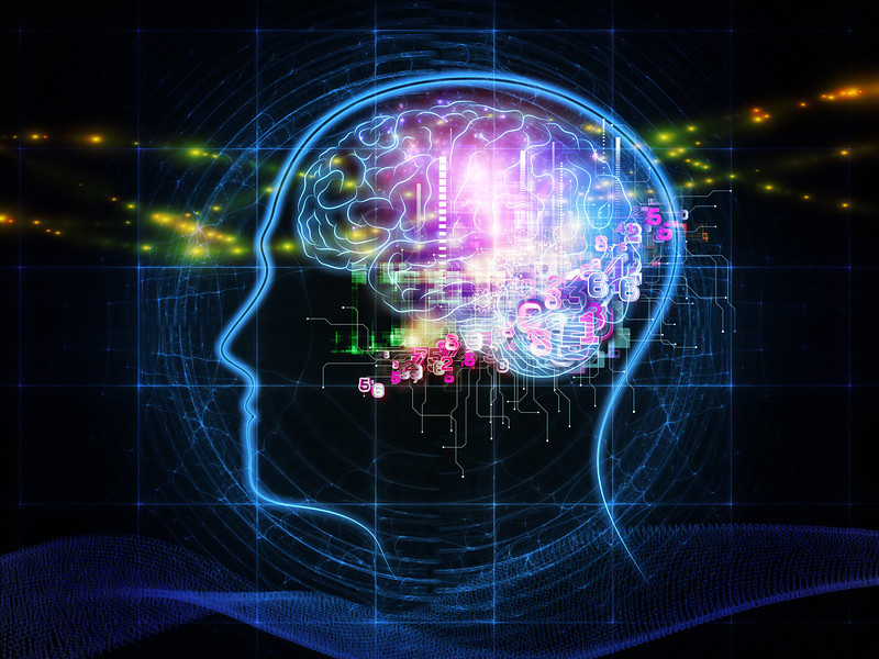 The Hard Problem of Consciousness Has Stumped Every Philosopher and Scientist Who Has Ever Tried to Solve It - and the Leading Theories Are Stranger Than Any Fiction