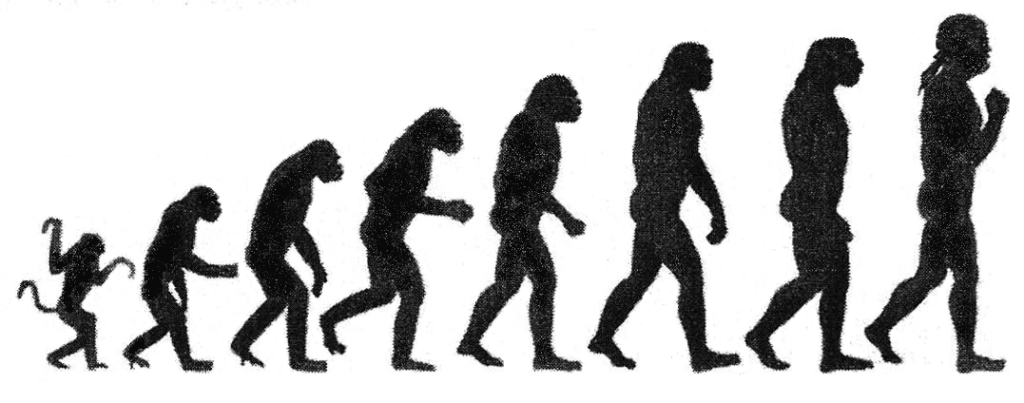 The Human Evolution Claim Scientists Have Quietly Dropped