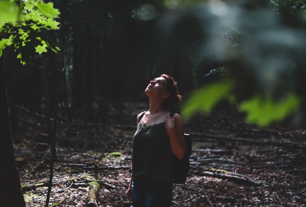 Neuroscience Says When You Breathe More Deeply and Slowly in a Forest Without Deciding To It Is Not Relaxation Causing the Breathing Change - It Is the Breathing Change Causing the Relaxation and the Compounds in the Air Are Triggering It Before You've Settled In