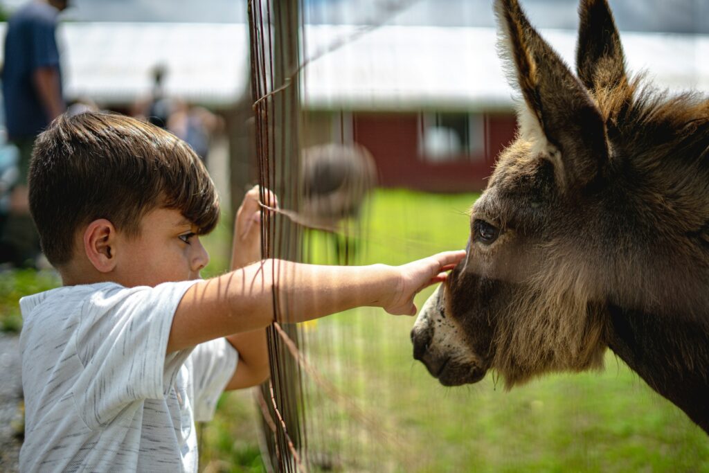 Psychology Says the Reason Human Children Across Every Culture and Every Century Have Been Drawn to Watching Animals Is That the Developing Brain Uses Living Moving Unpredictable Creatures as One of Its Primary Tools for Learning How the World Works