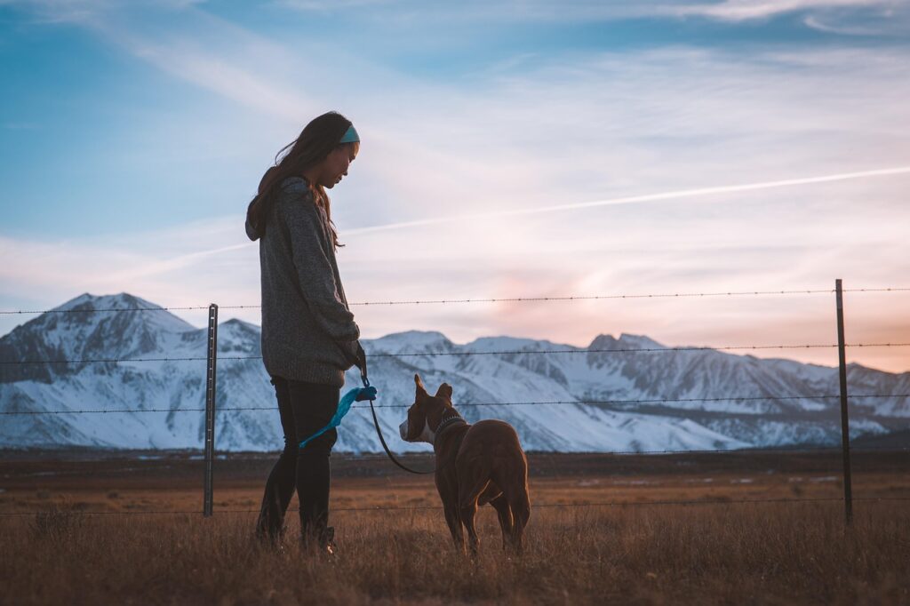 Neuroscience Says When a Person Who Has Never Owned a Dog Is Given One During a Period of Isolation Their Brain Shows Measurable Changes in Social Connectivity Circuits Within Weeks - Changes That Social Contact With Humans During the Same Period Did Not Produce