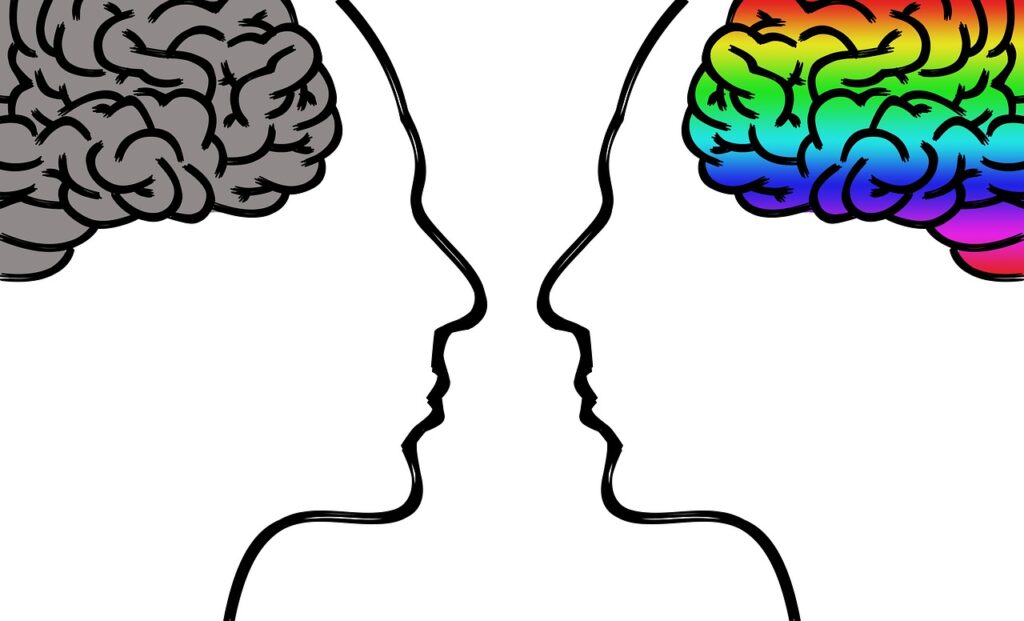 Philosophers Have Argued for Centuries That You Cannot Prove Anyone Else Is Conscious - You Can Only Verify Your Own Experience - and No Scientific Discovery Has Yet Closed This Gap