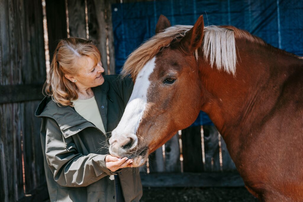 Animal Cognition Suggests Horses Anticipate Human Decisions From Body Language Alone