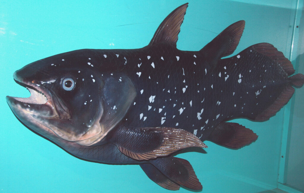 14 Creatures Scientists Now Believe Survived Far Longer Than Recorded