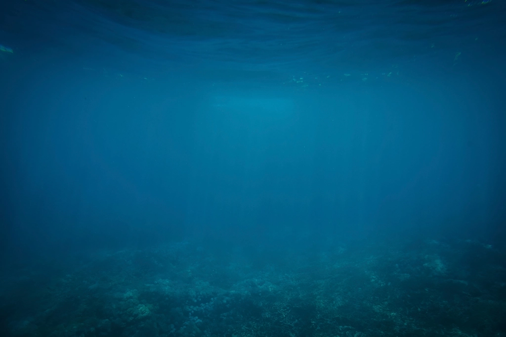 Ocean Science Says There Is a Layer of the Ocean Where No Sunlight Has Ever Reached in the Entire History of Earth - and the Creatures That Live There Evolved Completely Independently of Every Biological System That Operates in Light
