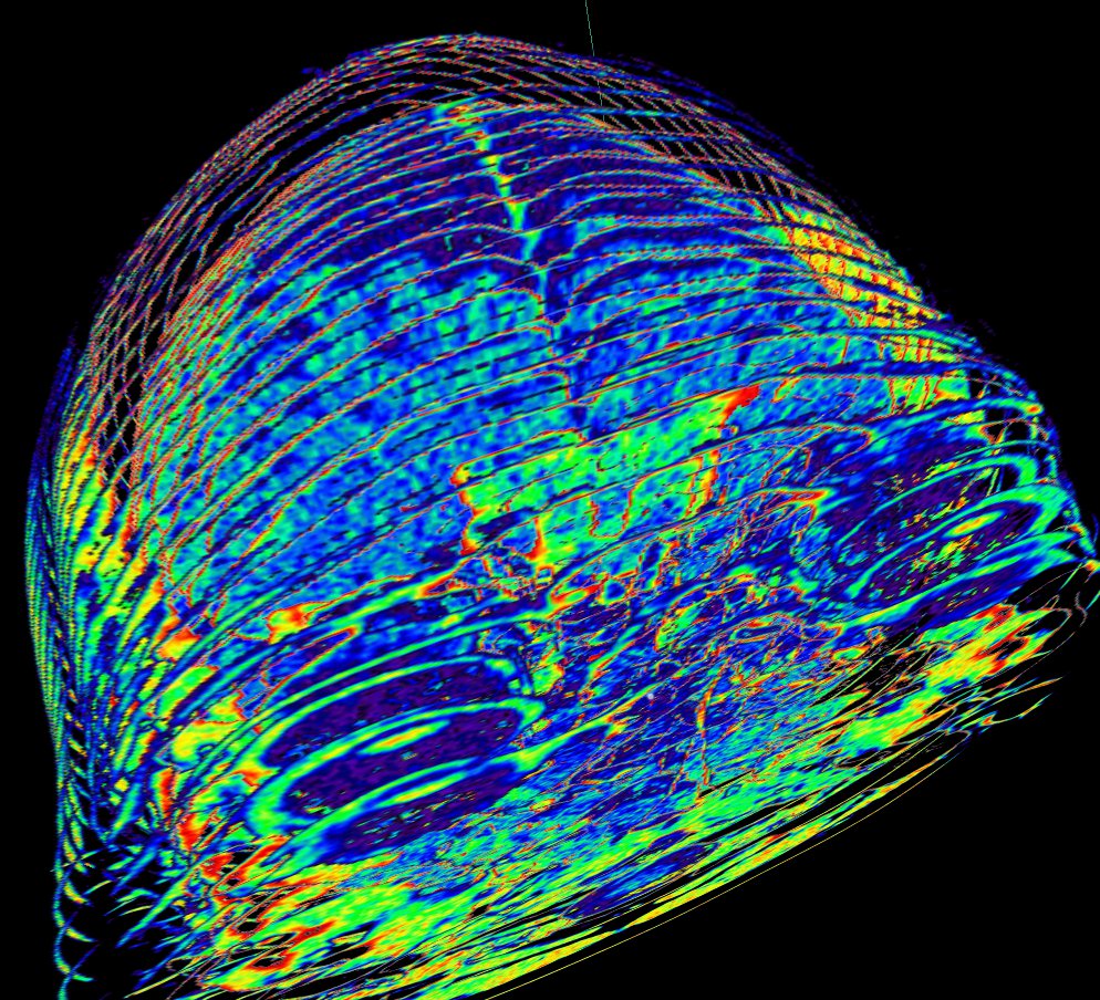 Scientists Say The Geomagnetic Field Could Be Controlling Your Mind