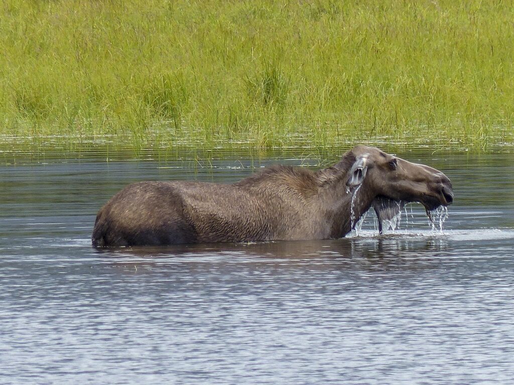 10 Hidden Nature Preserves With Outstanding Wildlife Watching