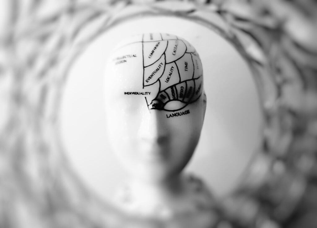 The Extended Mind Hypothesis Argues That Your Consciousness Does Not Stop at the Boundary of Your Skull - Your Phone Your Notes and Your Environment Are All Part of Your Thinking System