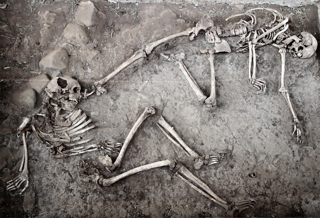 12 Skeletons Whose Dating Results Were Never Formally Published Anywhere