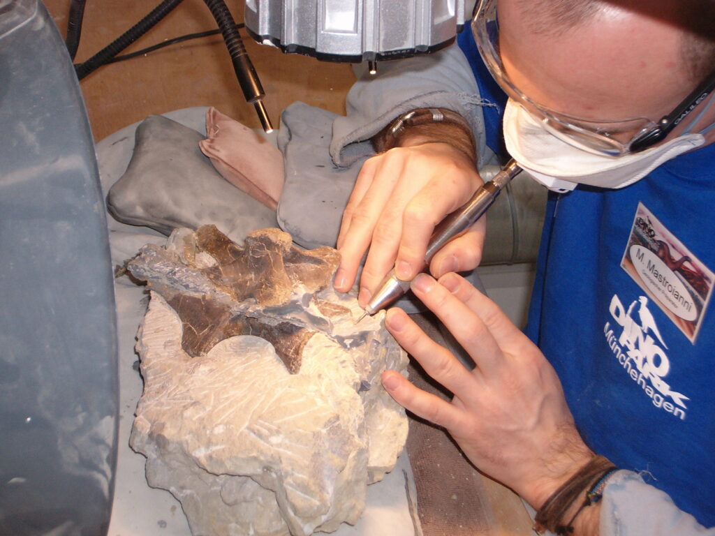 Paleontologists Have Found Evidence of Cancer and Other Diseases in Dinosaur Bones - Showing Some Ancient Illnesses Are Far Older Than Humanity