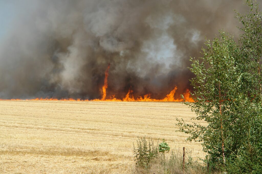 The Science of Fire Tornadoes - And Why They’re Appearing More Often in the West