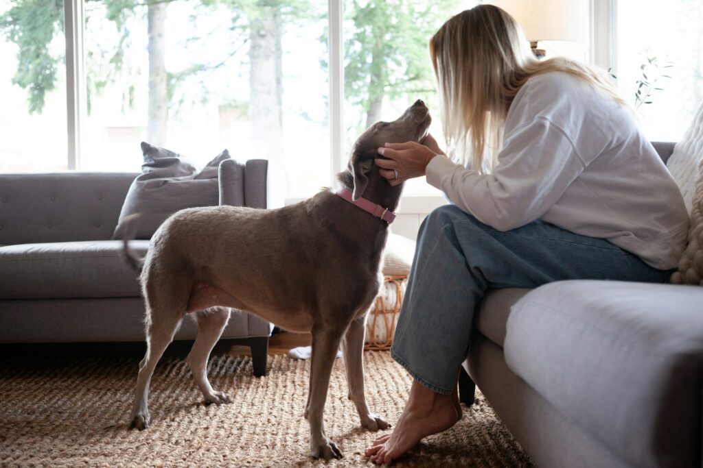 Psychology Says Dogs Can Distinguish Between Their Owner Crying From Sadness Versus Crying From Relief