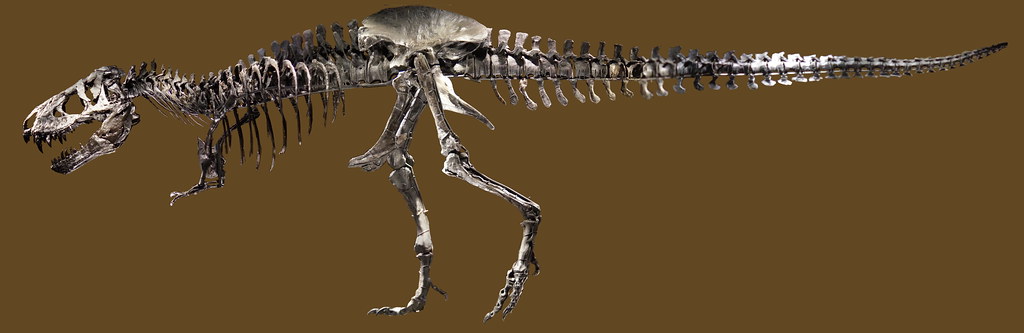 14 Fossils Palaeontologists Now Admit Were Reconstructed Almost Entirely From Guesswork