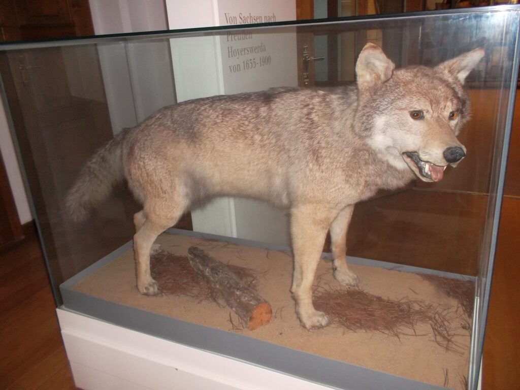 22 Specimens Held In Museum Basements That No Publication Has Ever Mentioned
