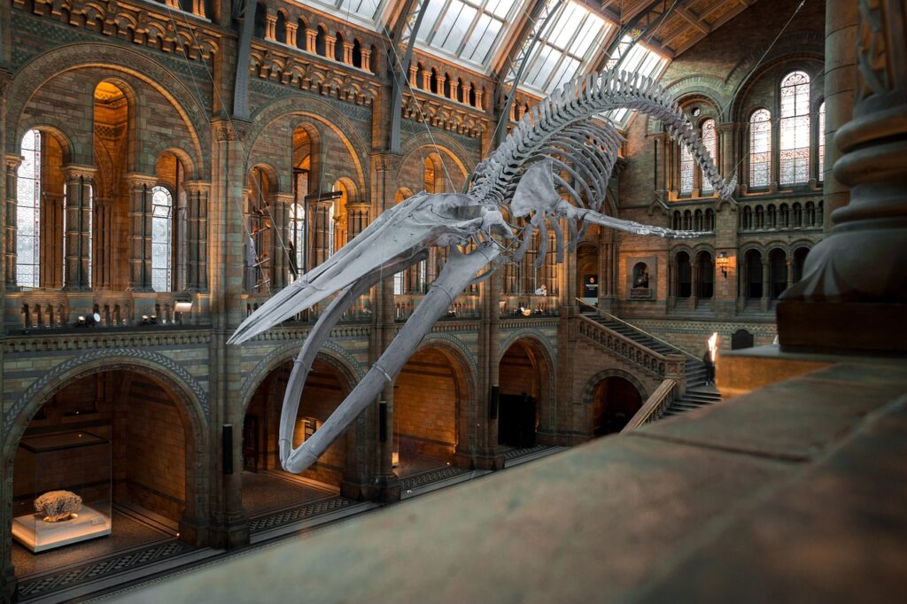 13 Reconstructions Museums Have Quietly Corrected Without Telling A Single Visitor