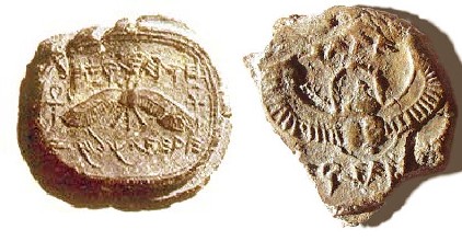 10 Seals Bearing Scripts That Appear Nowhere Else In The Entire Region