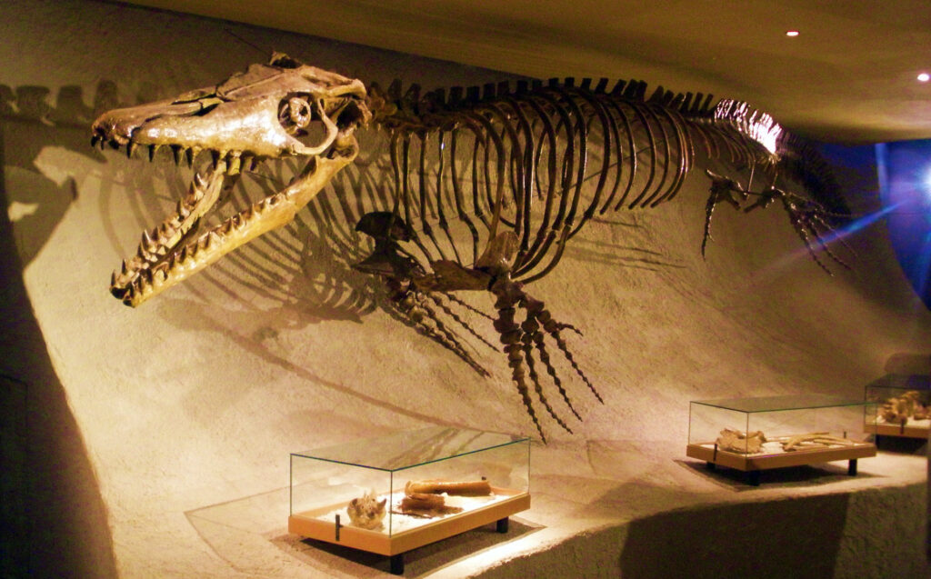 11 Prehistoric Predators Reconstructed Entirely From Fragments Smaller Than A Hand