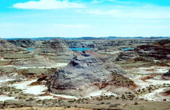 23 Fossil Beds That Contradict Everything Currently Taught About That Period