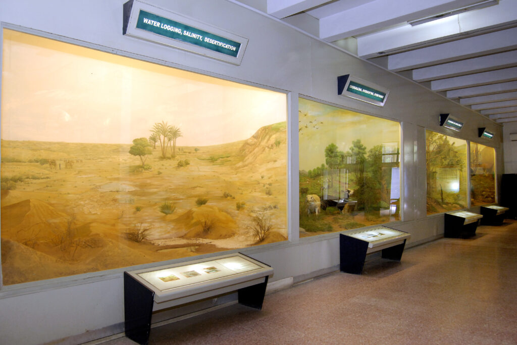12 Museum Labels Rewritten Twice Without Anyone Announcing What Had Changed