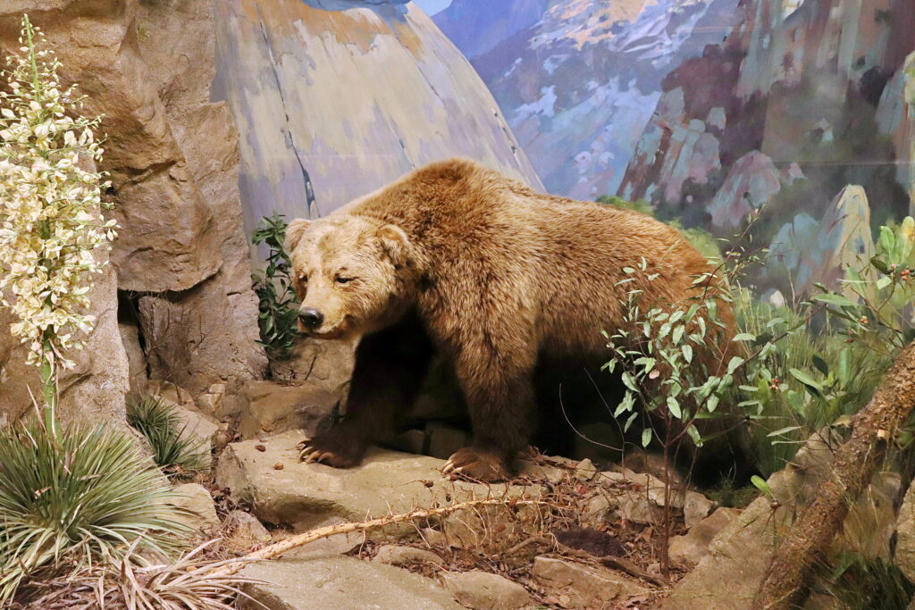22 Extinct Animals Whose Range Maps Contradict Every Recovered Specimen