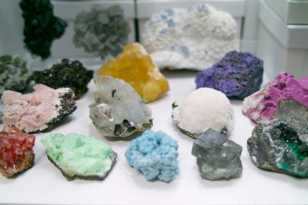 12 Specimens Whose Original Labels Were Replaced Without Any Record Kept