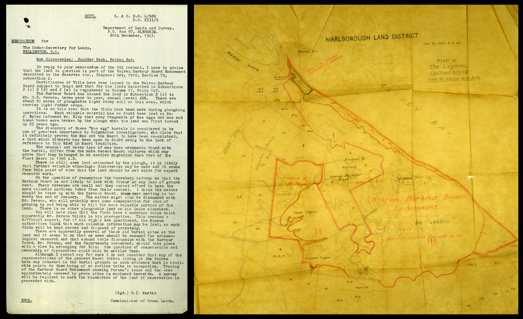 12 Papers Withdrawn After Their Excavation Data Could Not Be Located