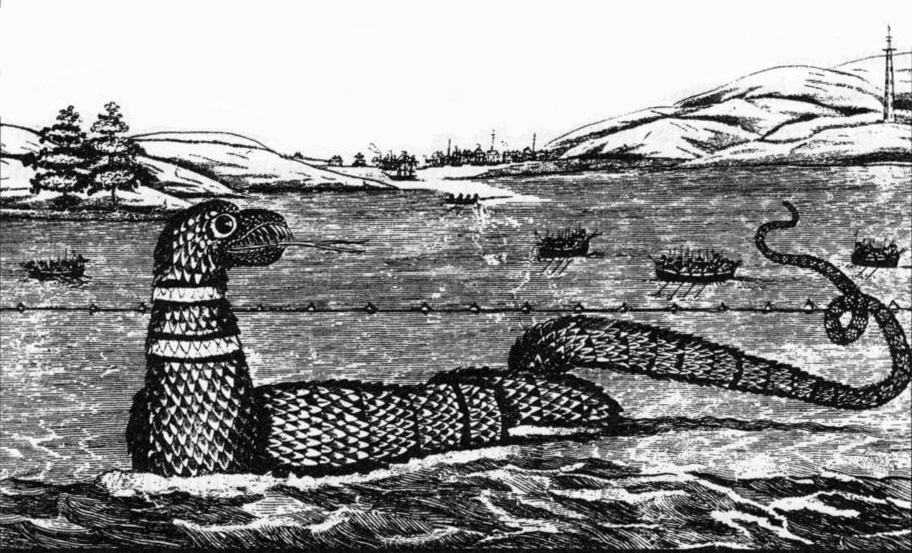 #8 – Victorian Sea Monsters Stitched From Leftover Flippers and Tails