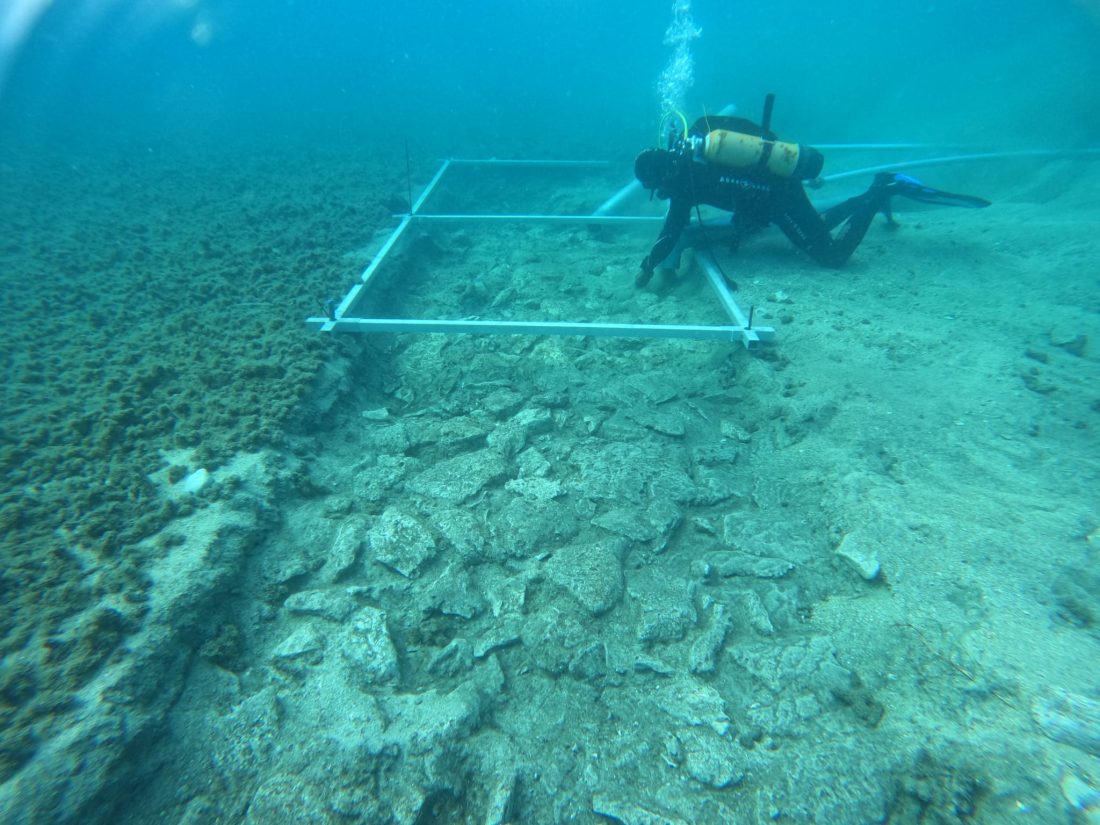 #2 - The Bimini Road, Bahamas