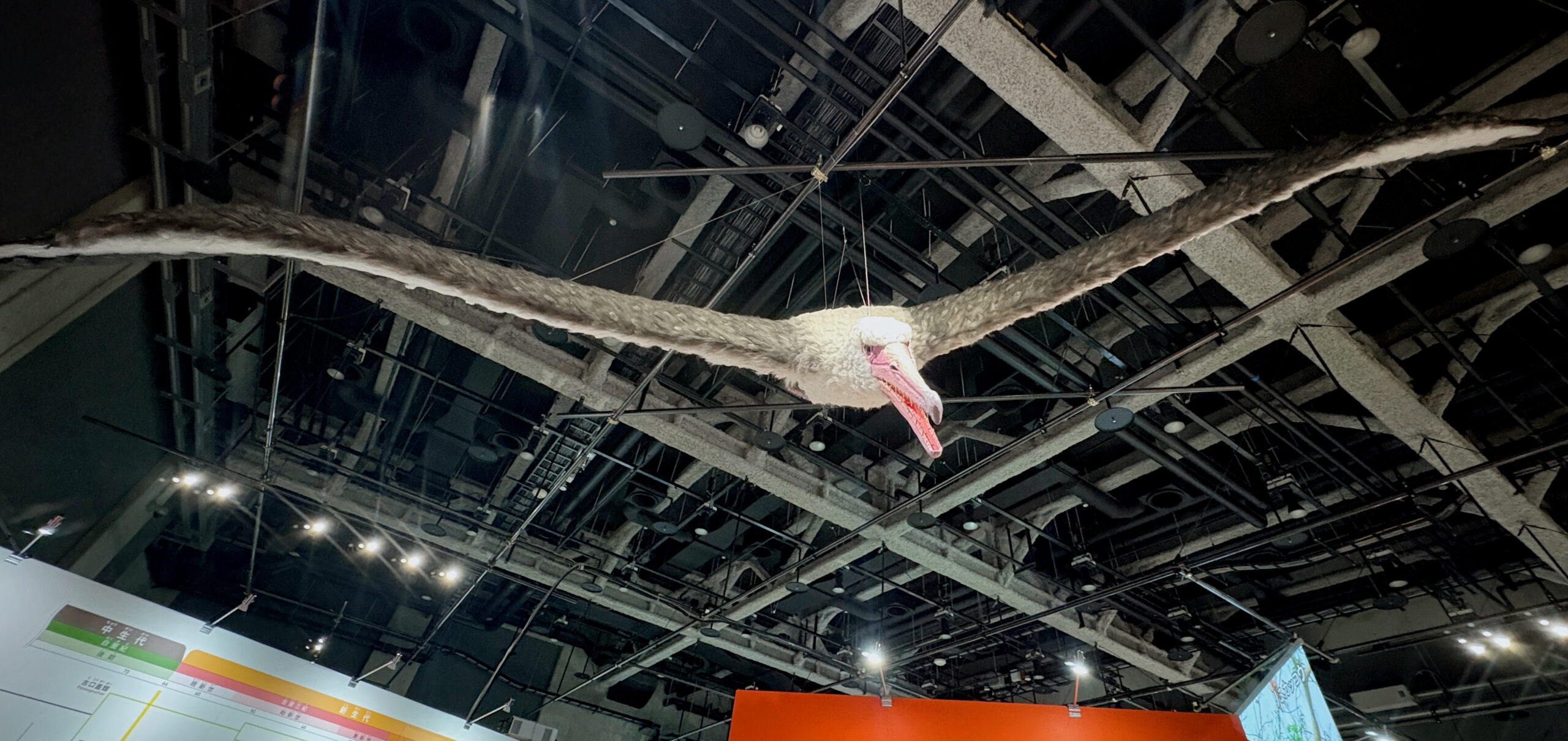 #1 - Pelagornis sandersi: The Monster Bird Built From One Skeleton
