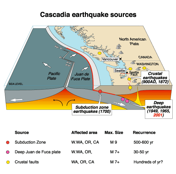 2. The 1700 Cascadia Megaquake: The “Orphan Tsunami” That Gave You a Wake-Up Call Centuries Late