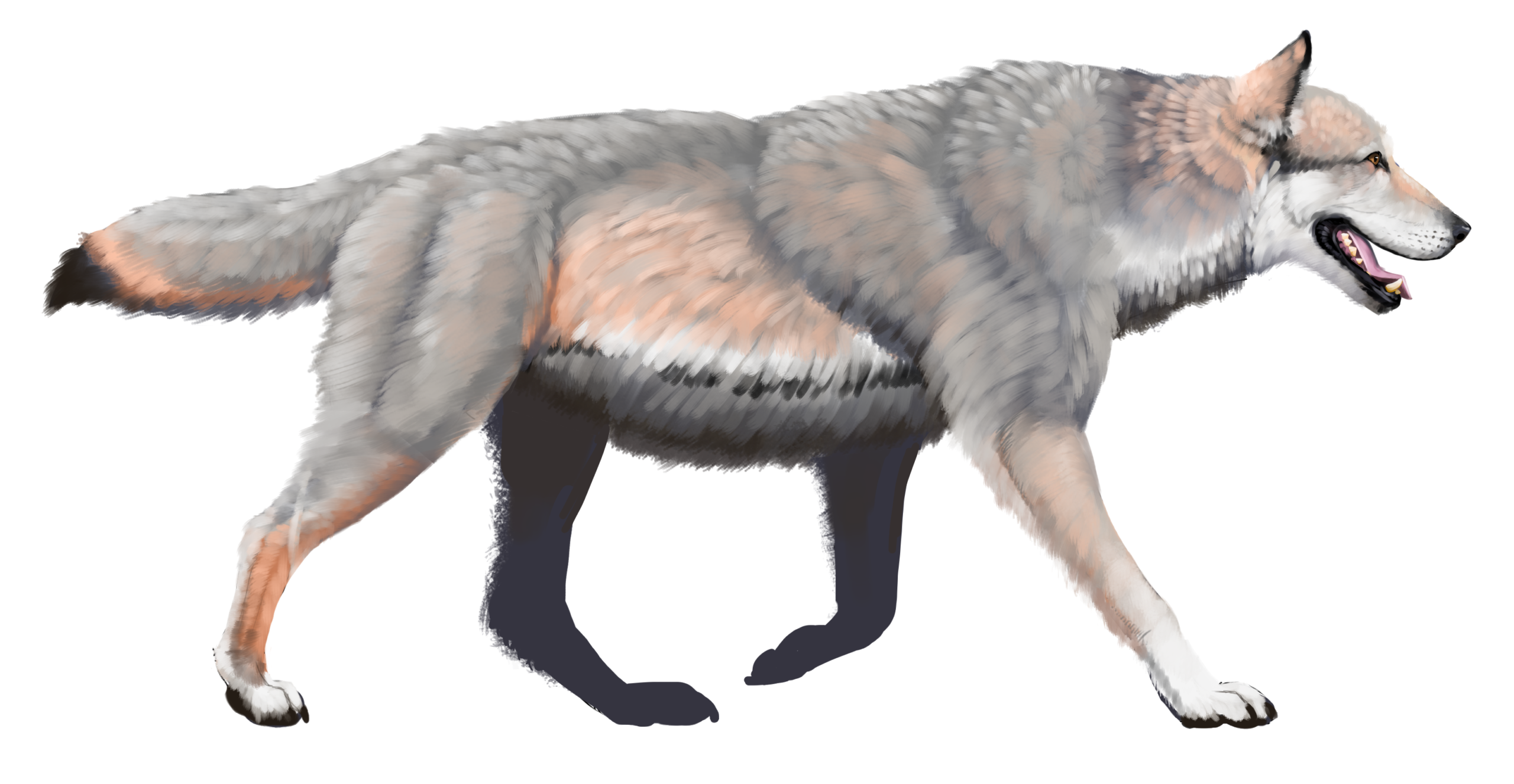 #6 - The Dire Wolf's North American Monopoly That DNA Won't Back