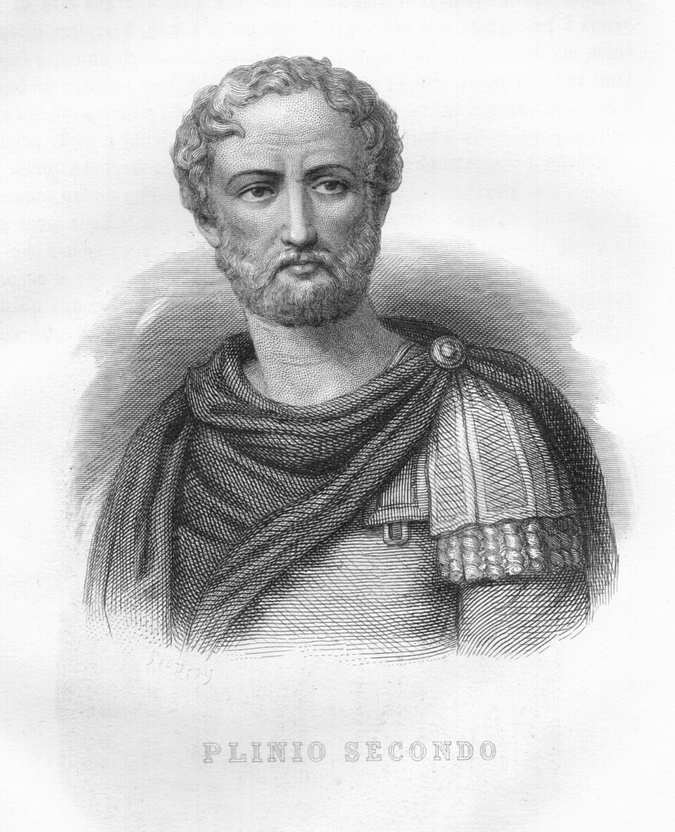 #20 – The "Skull of Pliny the Elder"