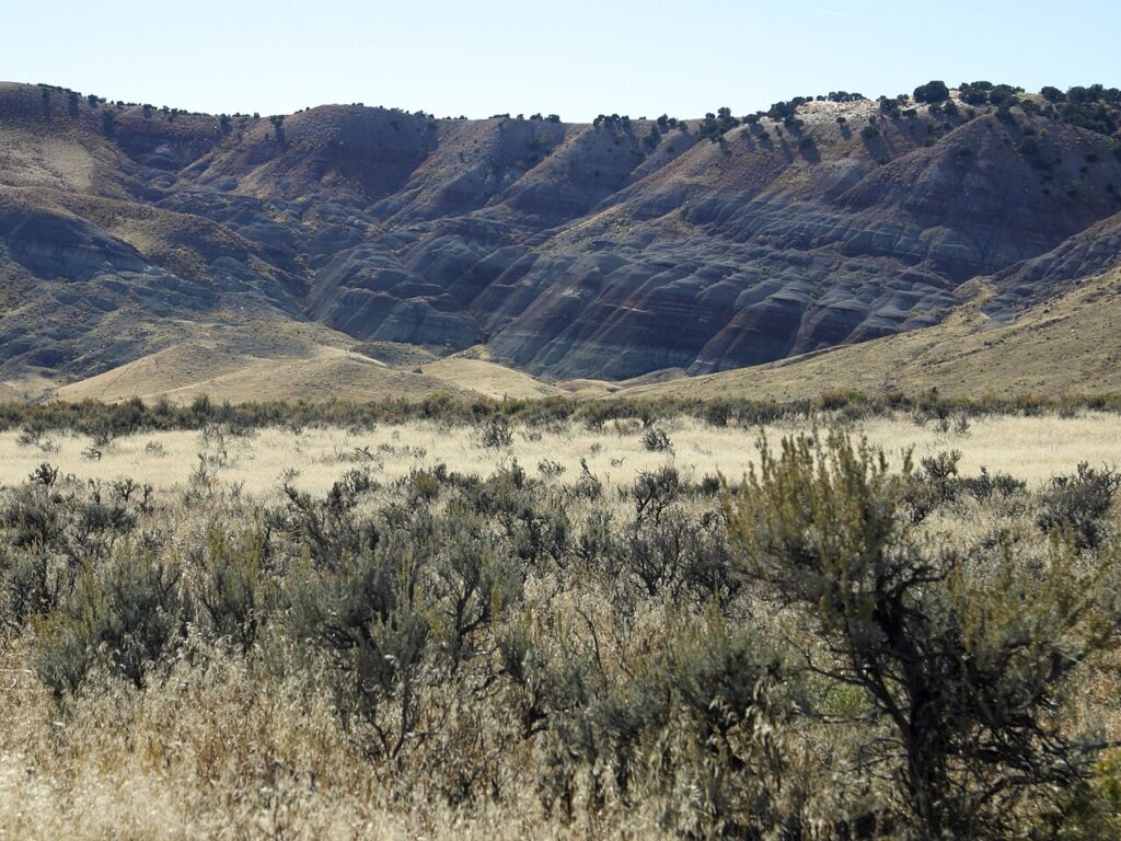 The Morrison Formation Runs Through 13 American States and Has Produced More Iconic Dinosaur Species Than Any Other Single Geological Feature on Earth