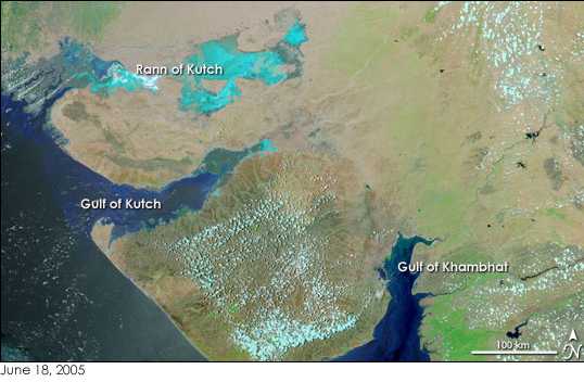 #2 - The Riddled Terraces of India's Gulf of Cambay Deep Zone