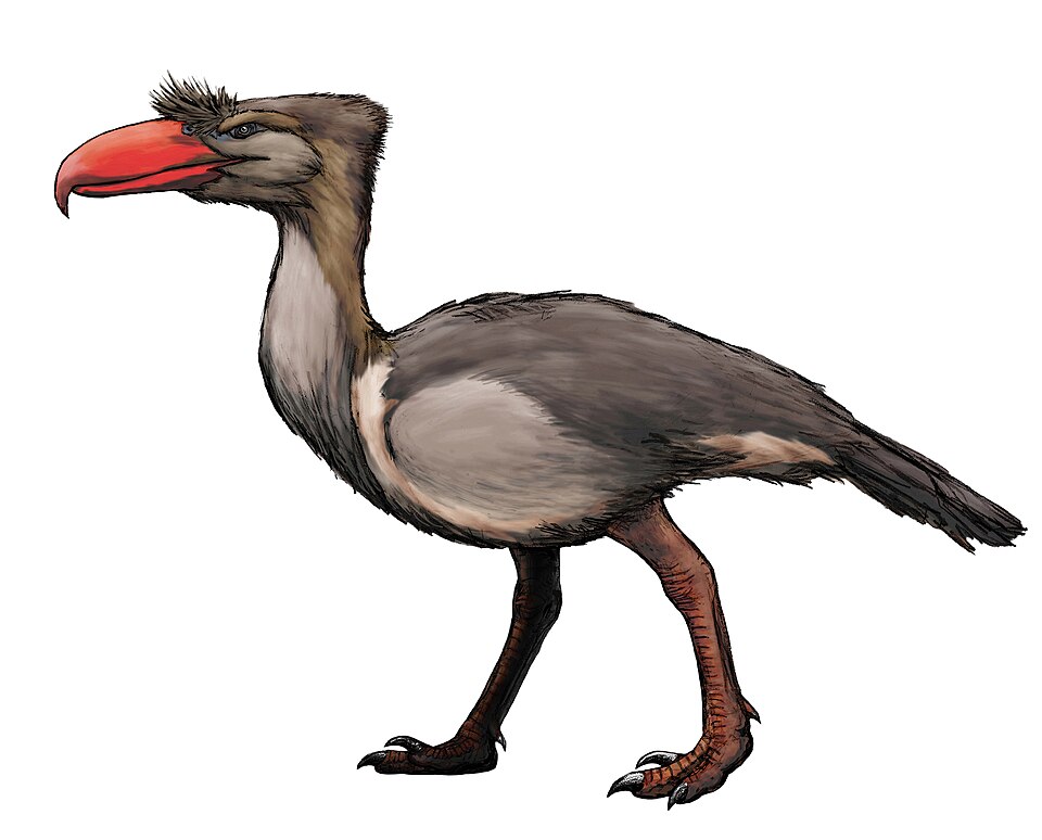 #4 - Kelenken: The Terror Bird Rebuilt From a Single Skull Piece