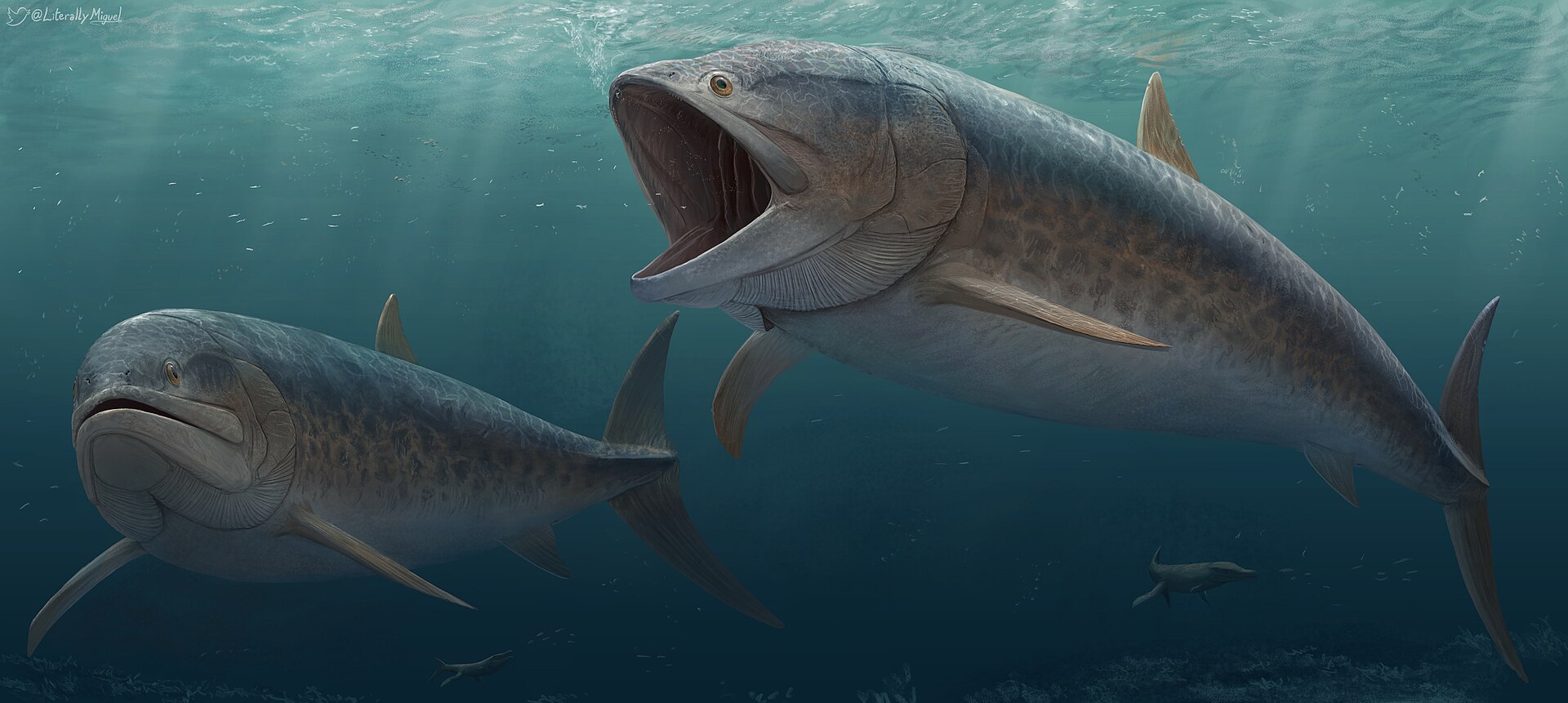 #7 - Leedsichthys: The Giant Fish Rebuilt From Shards and Guesses 