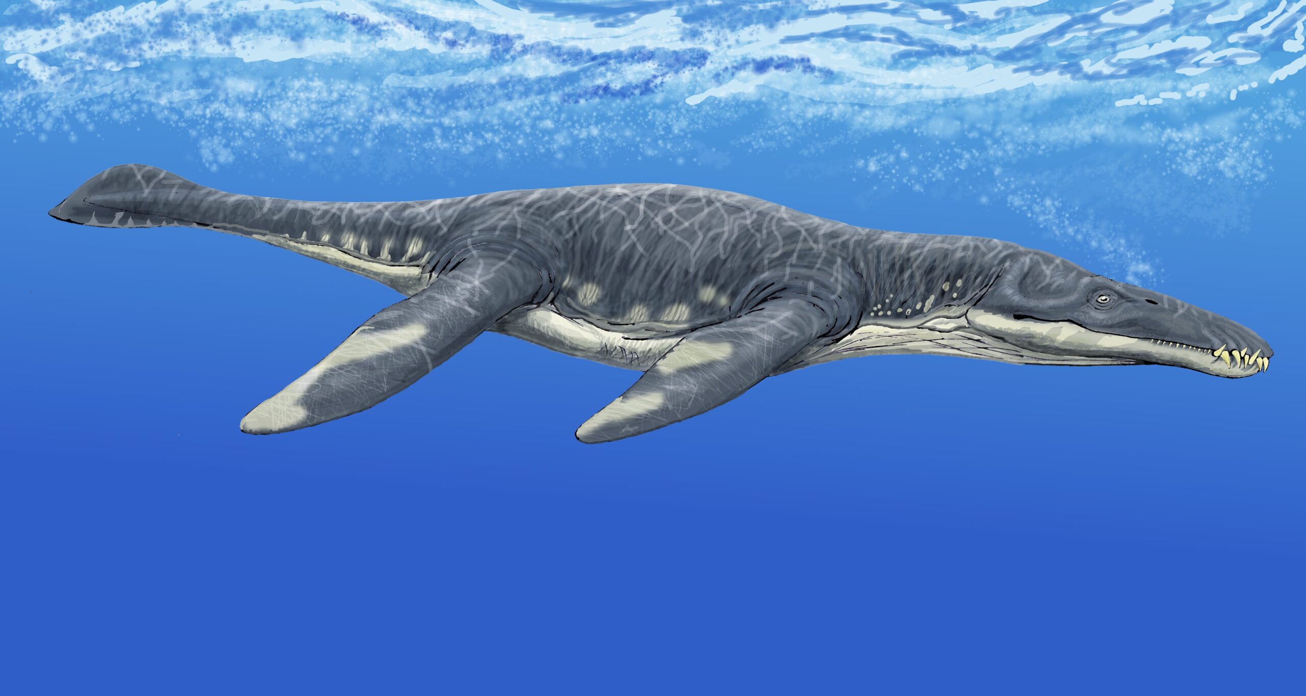 Liopleurodon: The Enigmatic Deep Diver