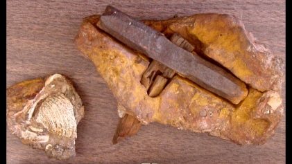 4. The London Hammer: A Modern Tool Trapped in Ancient Stone?