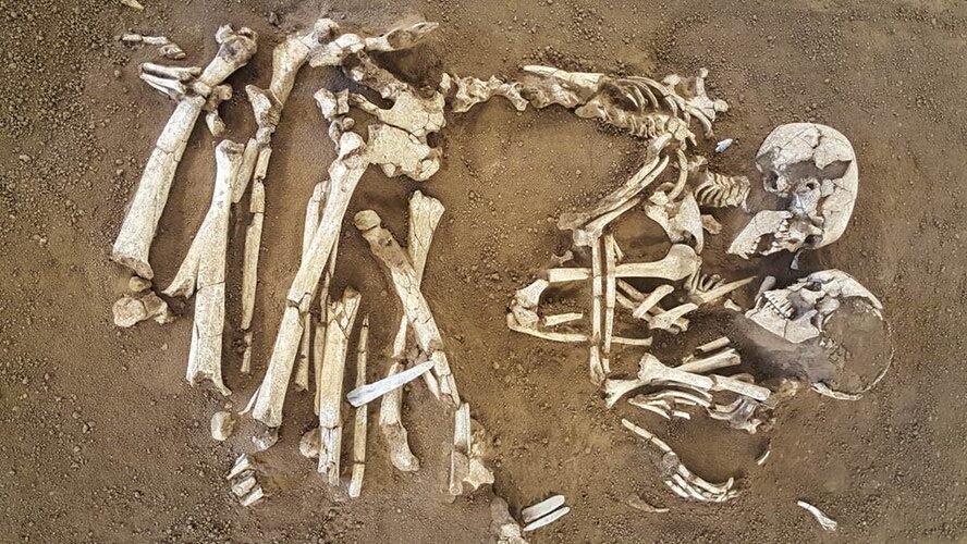 #11 - The Prehistoric Couple Frozen in an Embrace