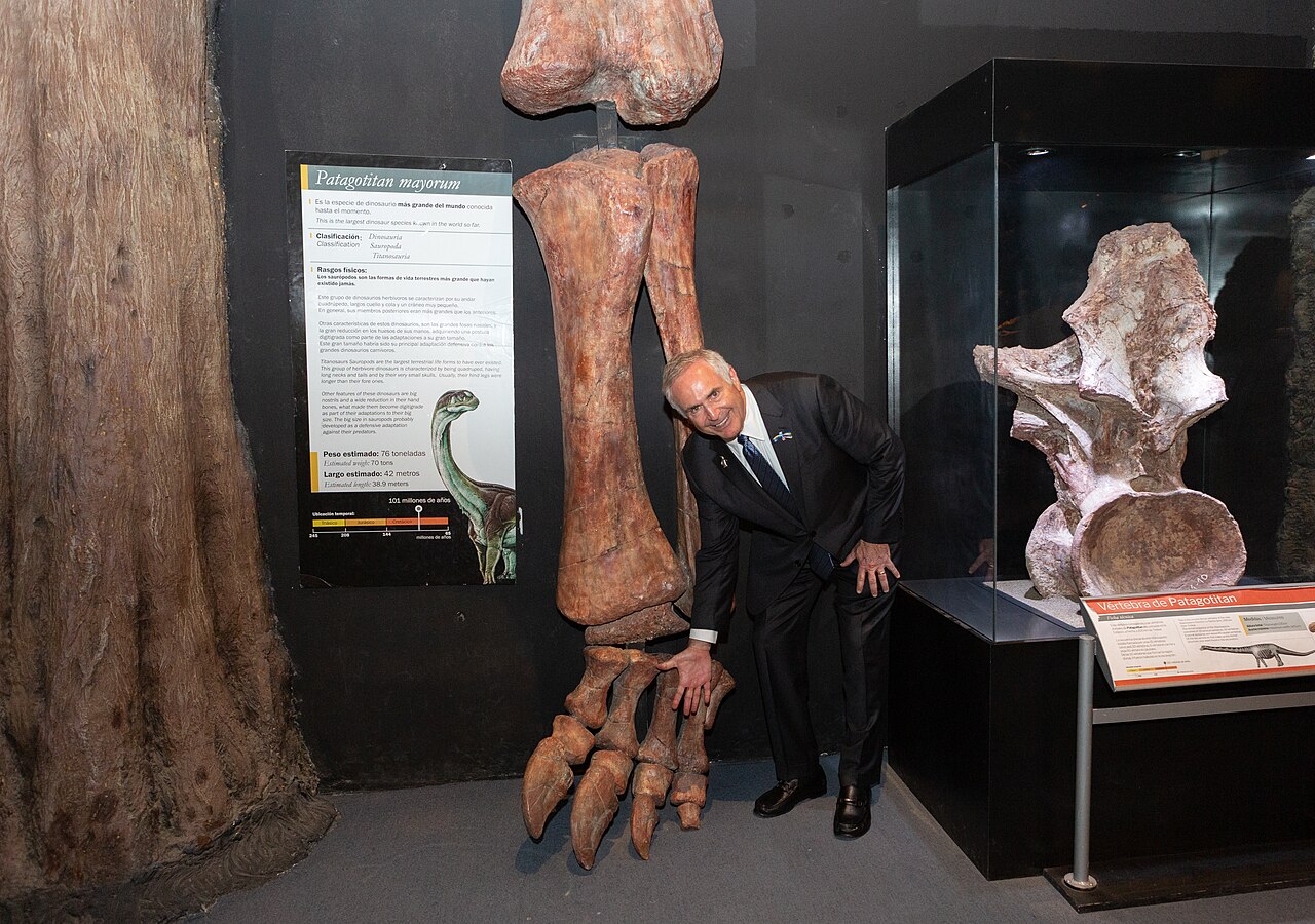 The Discovery Stories That Changed How You Picture Giants