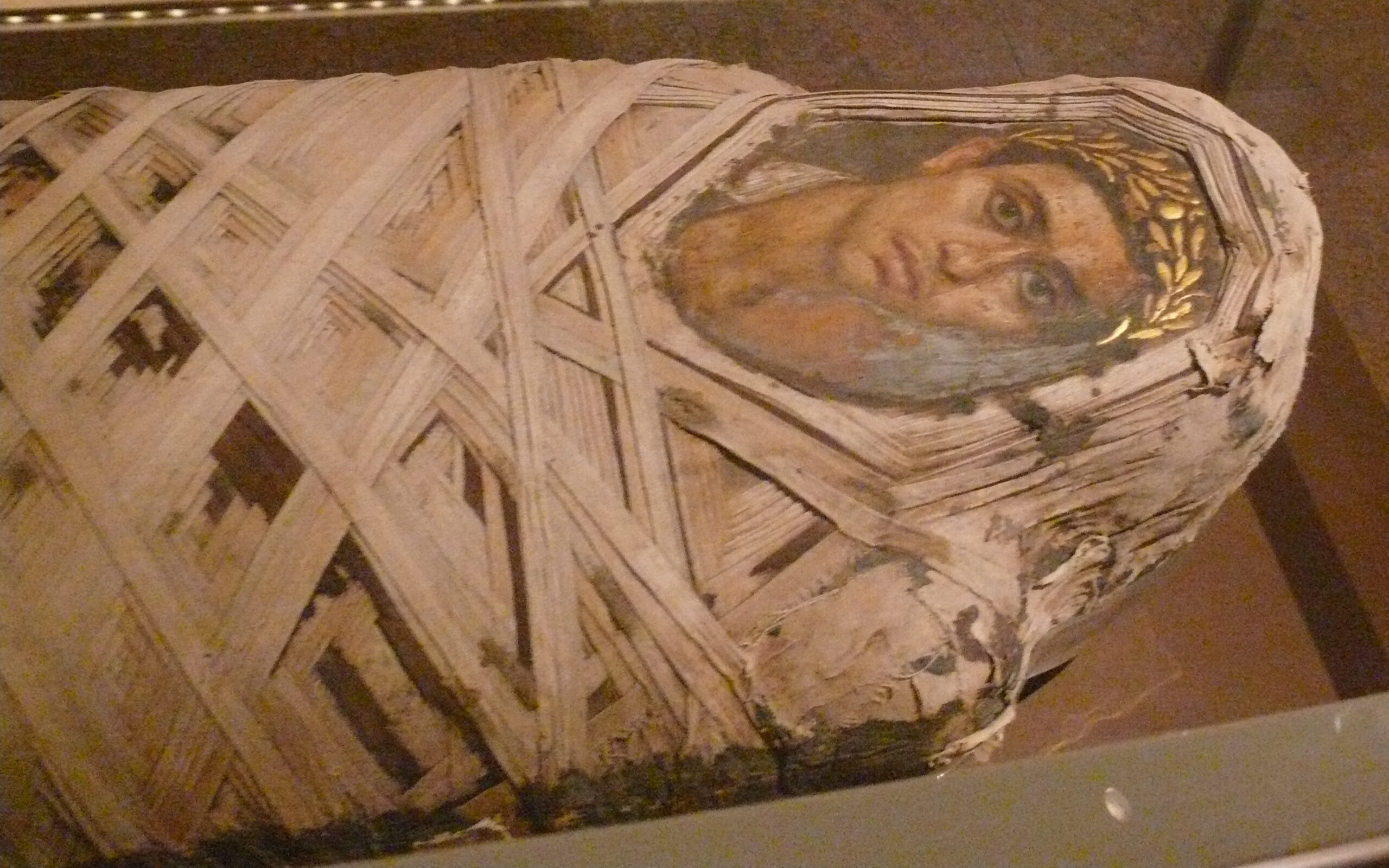 #6 - The Faiyum Painted Head With No Body Attached