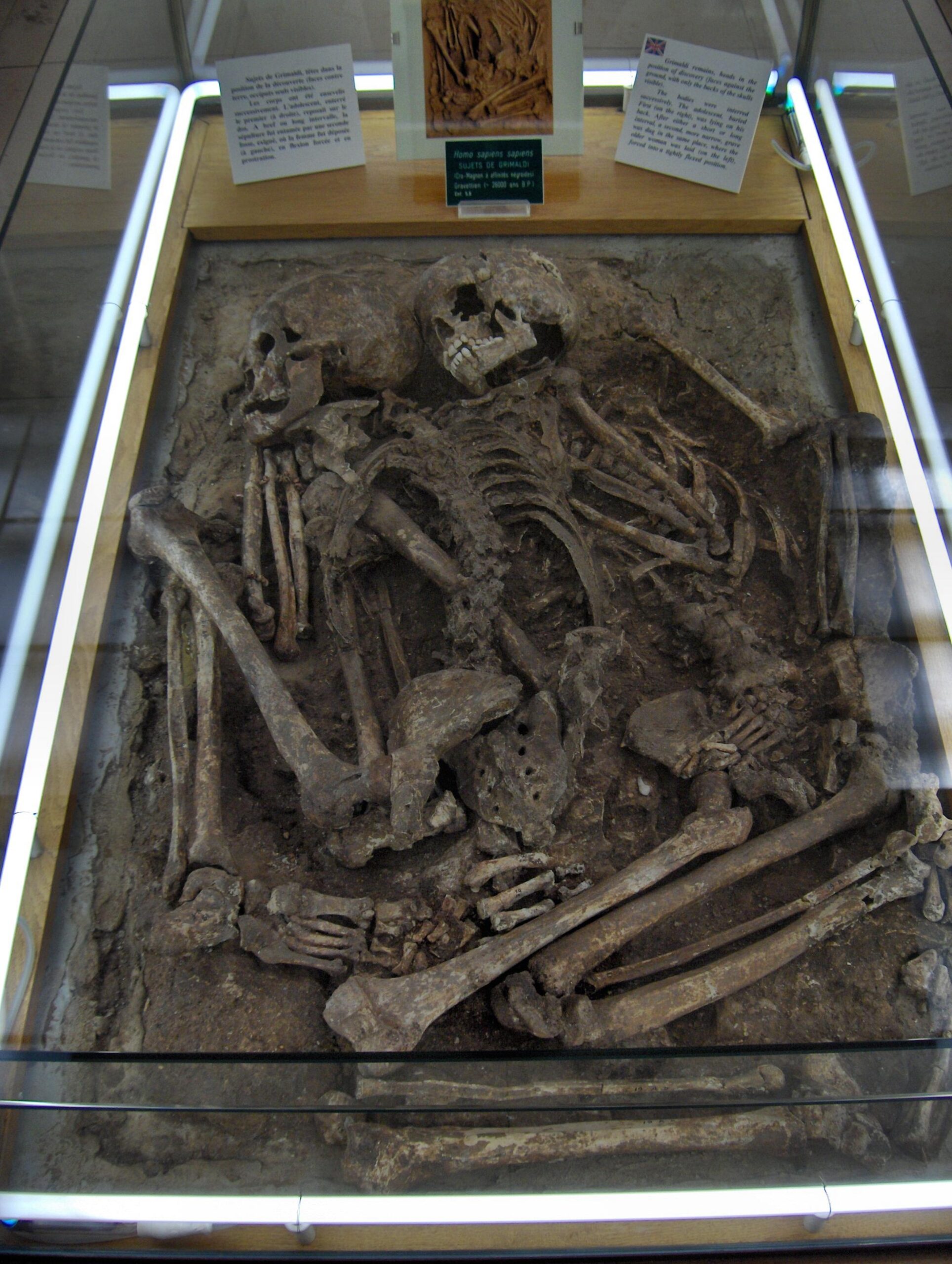 #8 - The "Grimaldi" Skeletons and Pre-Radiocarbon Guesswork 